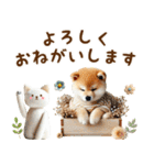 癒し柴犬の大人可愛い毎日スタンプ（個別スタンプ：24）