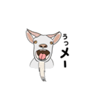 動物ダジャレスタンプだよ（個別スタンプ：20）