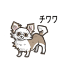 犬の種類（個別スタンプ：2）