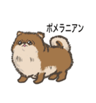 犬の種類（個別スタンプ：3）