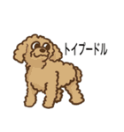 犬の種類（個別スタンプ：8）