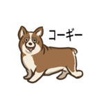 犬の種類（個別スタンプ：12）