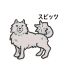 犬の種類（個別スタンプ：13）