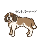 犬の種類（個別スタンプ：20）