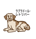 犬の種類（個別スタンプ：23）