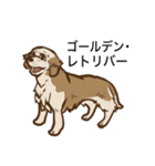 犬の種類（個別スタンプ：24）