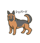 犬の種類（個別スタンプ：25）