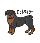 犬の種類（個別スタンプ：26）