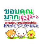 タイ語＋日本語 大きい文字 挨拶と相槌（個別スタンプ：11）