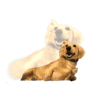 ダッシュくん(犬)（個別スタンプ：7）