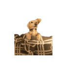 ダッシュくん(犬)（個別スタンプ：13）
