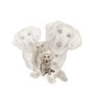 ダッシュくん(犬)（個別スタンプ：17）