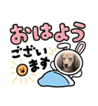 ミニチュアダックスの子犬のスタンプ♫（個別スタンプ：23）