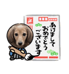 ミニチュアダックスの子犬のスタンプ♫（個別スタンプ：37）