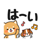 シンプル♪送信しやすい #柴犬クッキー9（個別スタンプ：2）