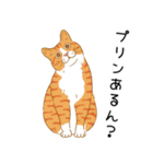 ねこ界隈の日常（関西弁）（個別スタンプ：19）