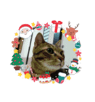 めいちゃん♀（個別スタンプ：14）