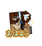 大好きな家族2！（個別スタンプ：1）