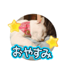 大好きな家族2！（個別スタンプ：2）