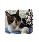 大好きな家族2！（個別スタンプ：6）