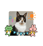 大好きな家族2！（個別スタンプ：7）