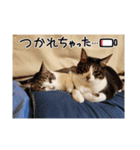 大好きな家族2！（個別スタンプ：8）