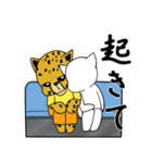 チーターのにゃんにゃん日和（個別スタンプ：8）