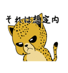 チーターのにゃんにゃん日和（個別スタンプ：24）
