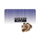伝わる！かがみもち（個別スタンプ：7）