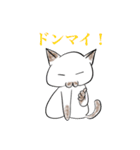 ねこさんのOne Week（個別スタンプ：12）