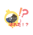 ふーちゃんの日常だよ！！（個別スタンプ：3）