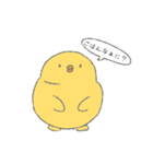 ひよこ の 日常（個別スタンプ：4）