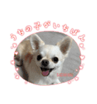 サダハルです（個別スタンプ：1）
