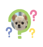 サダハルです（個別スタンプ：4）