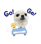 サダハルです（個別スタンプ：9）