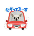 サダハルです（個別スタンプ：10）
