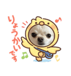 サダハルです（個別スタンプ：12）