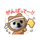 サダハルです（個別スタンプ：13）
