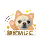サダハルです（個別スタンプ：18）