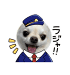 サダハルです（個別スタンプ：20）