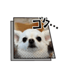 サダハルです（個別スタンプ：23）