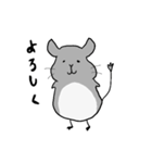 ゆるいチンチラ たぷちら 日常で使える（個別スタンプ：1）