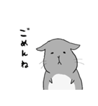 ゆるいチンチラ たぷちら 日常で使える（個別スタンプ：4）