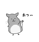 ゆるいチンチラ たぷちら 日常で使える（個別スタンプ：5）