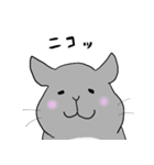ゆるいチンチラ たぷちら 日常で使える（個別スタンプ：17）