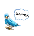 インコだぢょ（個別スタンプ：15）