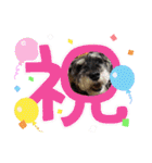 アリコちゃん6（個別スタンプ：2）