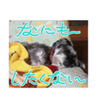 アリコちゃん6（個別スタンプ：5）