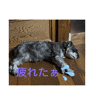 アリコちゃん6（個別スタンプ：9）