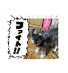 アリコちゃん6（個別スタンプ：13）